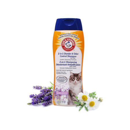 ARM & Hammer